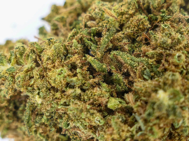 OG Kush THV N10 40% - Fleur CBD Premium | Puissante et savoureuse