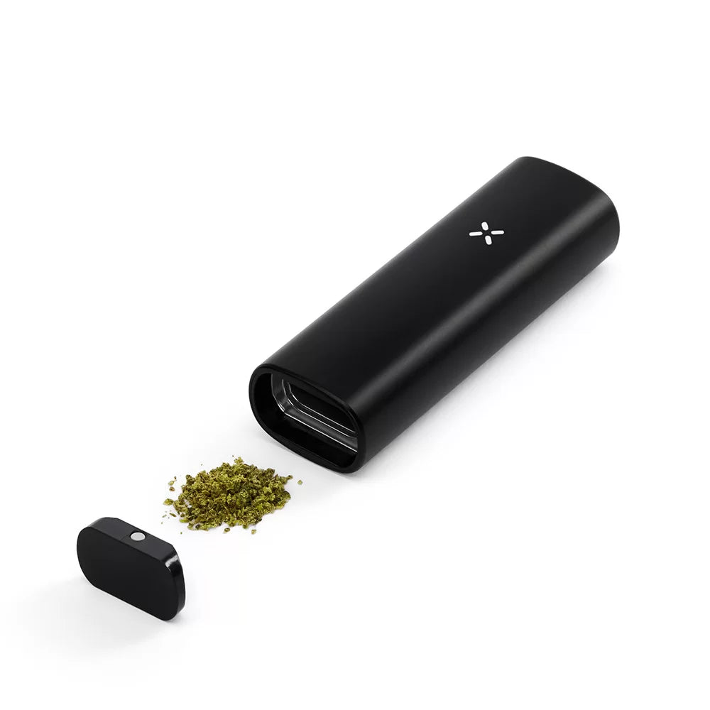 pax mini