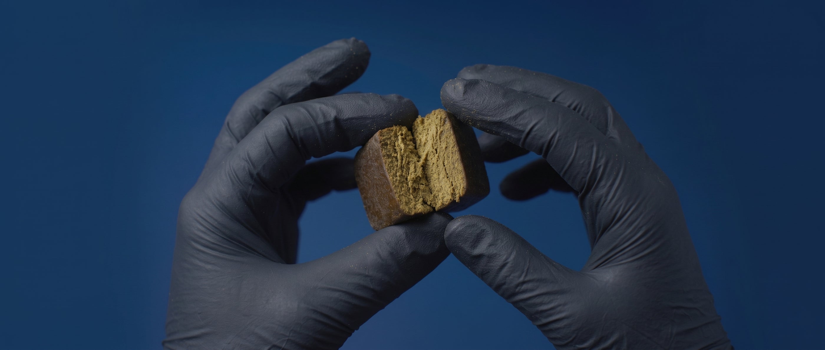 Photographie macro d'un bloc de résine 3X filtré de CBD premium à la texture sableuse, délicatement scindé par des mains expertes avec des gants en nitrile noir mat. Composition studio minimaliste sur fond bleu nuit uni par Maison Sativa