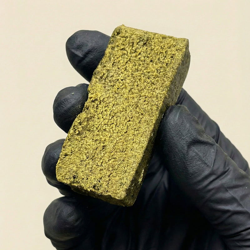 Main gantée de noir présentant une barre verticale de résine de cannabis légal à la texture dense et jaune-verte.