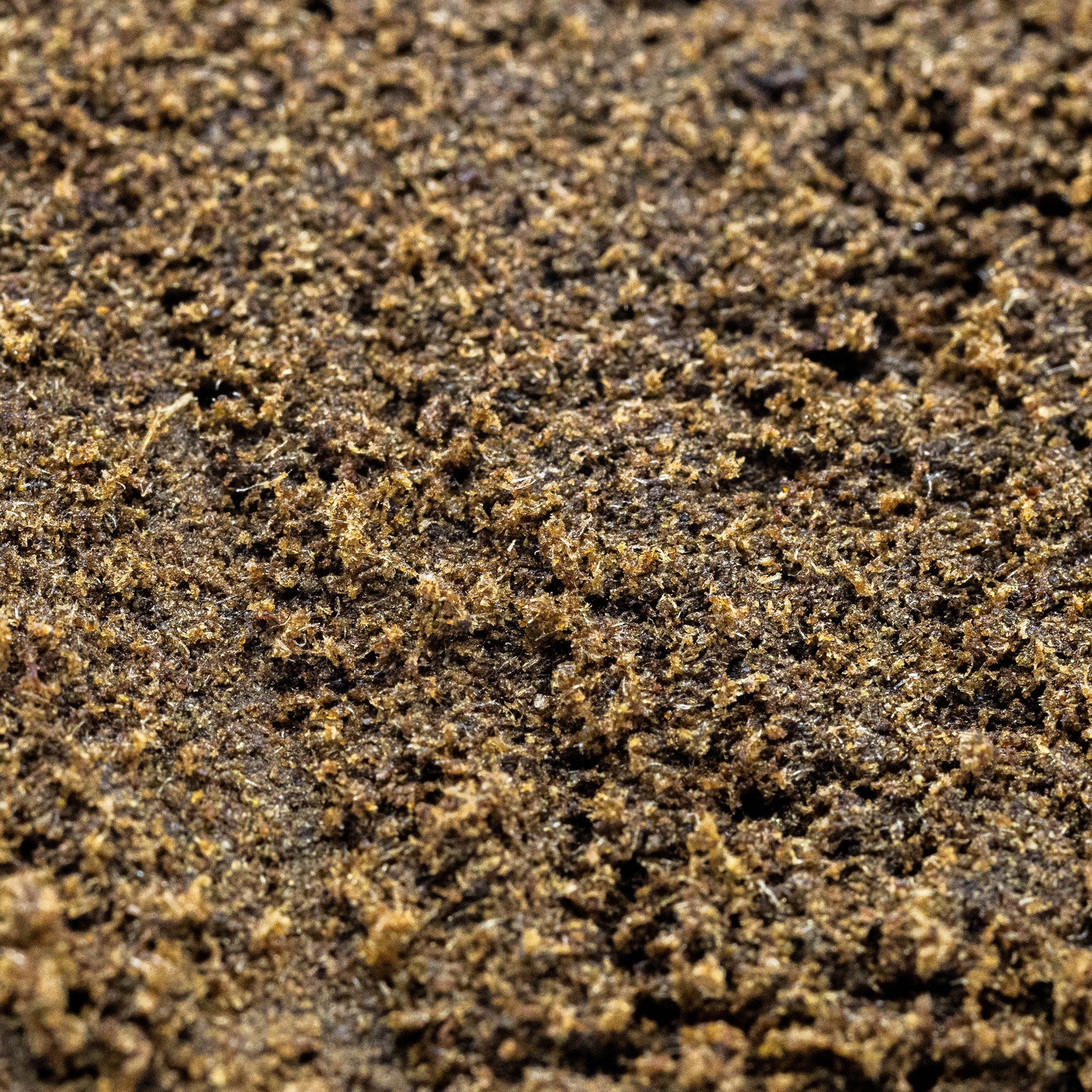 Blackmamba 60 % – Résine Noire Ultra Puissante au 10‑OH‑HHC