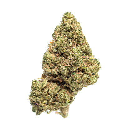 Fleur de CBD santa cruz de chez Maison sativa de la collection USA genetics - Cali 