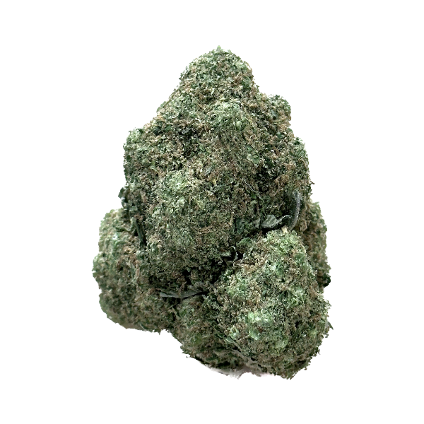 La super Jerry est une fleur de CBD de belle taille, ultra compacte d'un beau vert éclatant. Elle peut être consommée pour améliorer des troubles du sommeil ou encore l'anxiété. Maison Sativa, Cherbourg-en-Cotentin, 50100.
