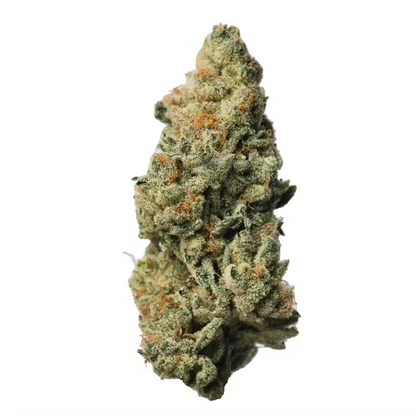 Yeager - FLEUR CBD PREMIUM - Maison Sativa